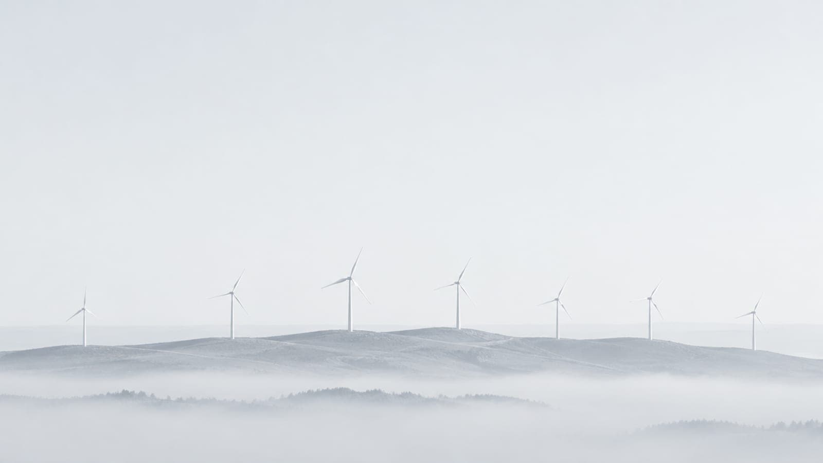 Developing and Implementing ESG Principles